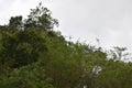 Natural Landscape of Tana Toraja.