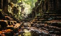 Natural landscape temples of the ancient civilization of Cambodia.