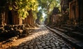 Natural landscape temples of the ancient civilization of Cambodia.