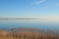 Natural landscape on the IJsselmeer side, the Nethelands