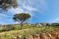 Natural landscape view of mountain in nature. Scenic look of rocky hills and grassy terrain on a sunny day in the Royalty Free Stock Photo