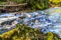 Natural Landscapes in the Forest, River and Waterfall in Vintgar Gorge near Bled Lake, Slovenia