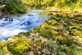 Natural Landscapes in the Forest, River and Waterfall in Vintgar Gorge near Bled Lake, Slovenia