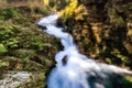 Natural Landscapes in the Forest, River and Waterfall in Vintgar Gorge near Bled Lake, Slovenia