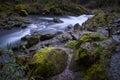 Natural landscapes of Ojos del Caburgua, Chile Royalty Free Stock Photo