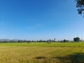 Natural landscapes, rice paddies, trees, and skies in Lombok Island, Indonesia. Royalty Free Stock Photo