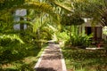 Natural landscaping in a tropical hotel