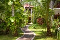 Natural landscaping with the stone path in a tropical hotel