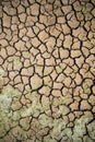 Natural layout dramatic concept cracked mud earth in drought africa famine global warming climate change Royalty Free Stock Photo