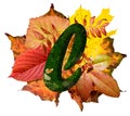 Natural leaf letter l, vibrant color alphabet, isolated design element, autumn colors