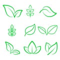 Natural leaf line icon. Young leaves of plants, forest tree oak, elm and ash leafs and eco green, garden vector isolated outline