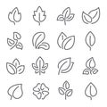 Natural leaf line icons. Young leaves of plants, forest tree leafs and eco greens fertilizer vector outline pictogram