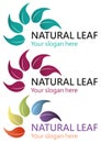 Natural leaf logo