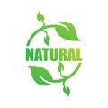 Natural Leaf logo design. Natural Green leaf logo vector template images. Natural food logo. organic orange and green leaf icon Royalty Free Stock Photo