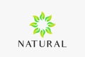 Natural Leaf Simple Concept for Business Beauty, Salon, and Spa.