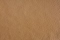 Natural leather background