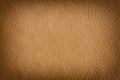 Natural leather background