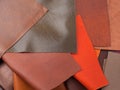 Natural leather textures samples. Brown shades