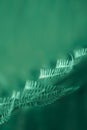Natural leaves of fern pattern background for design Royalty Free Stock Photo