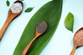 Natural leaves next to cosmetic folk remedies for skin care. Wooden spoons with black, red, orange and gray clay on a green palm