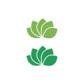 Natural Leaves Sign, Symbol, Logo
