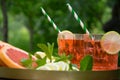 Natural lemonade, cocktail with mint, fresh citrus on trees background Royalty Free Stock Photo