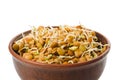 Natural lentil sprouts for raw foodists in a clay bowl