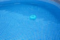 natural light. frame pool. a container with solid tablets floats in the pool for disinfection Royalty Free Stock Photo
