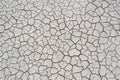 Natural light gray cracked texture background of salty soil global warming ecology disaster Royalty Free Stock Photo
