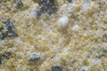 Natural light yellow eco-friendly stone background, with embossments of dark and white marble crumbs Royalty Free Stock Photo