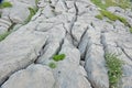 Natural limestone pavement, a karst feature Royalty Free Stock Photo