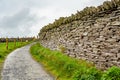 Natural limestone wall next to a path with fence of wooden poles and wire in the Burren