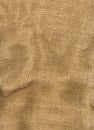 Natural linen sisal Royalty Free Stock Photo