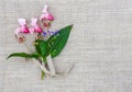 Natural linen texture with small bouquet of Indian balsam flowers. Impatiens glandulifera plant. Natural fabric rough background.