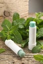 Natural lip balms and mint leaves on wooden background Royalty Free Stock Photo