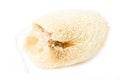 Natural Loofah Sponge.