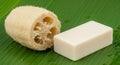 A natural loofah sponge and a rectangular bar of white soap are placed on a large gre Royalty Free Stock Photo