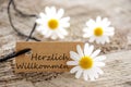 Natural looking label with herzlich willkommen Royalty Free Stock Photo