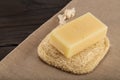 Natural made soap on a soap sponge. Royalty Free Stock Photo