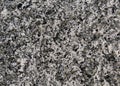 Magmatic granite rock dotted grains texture with black and white minerals