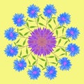 Natural mandala from dried pressed flowers, petals, leaves. Royalty Free Stock Photo