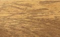Natural mango wood board texture Royalty Free Stock Photo