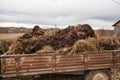 Natural manure Raw compost Royalty Free Stock Photo