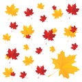 Natural maple leaves background poster print illustration