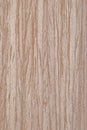 Natural Maple wood veneer