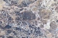 Natural marble brown texture background