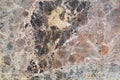 Natural marble brown texture background