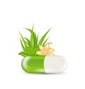 Natural medical pill with flower, leaves, grass