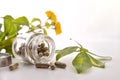 Natural medicine capsules in open glass jar on table front Royalty Free Stock Photo