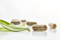 Natural medicine capsules and plant on white table  front Royalty Free Stock Photo